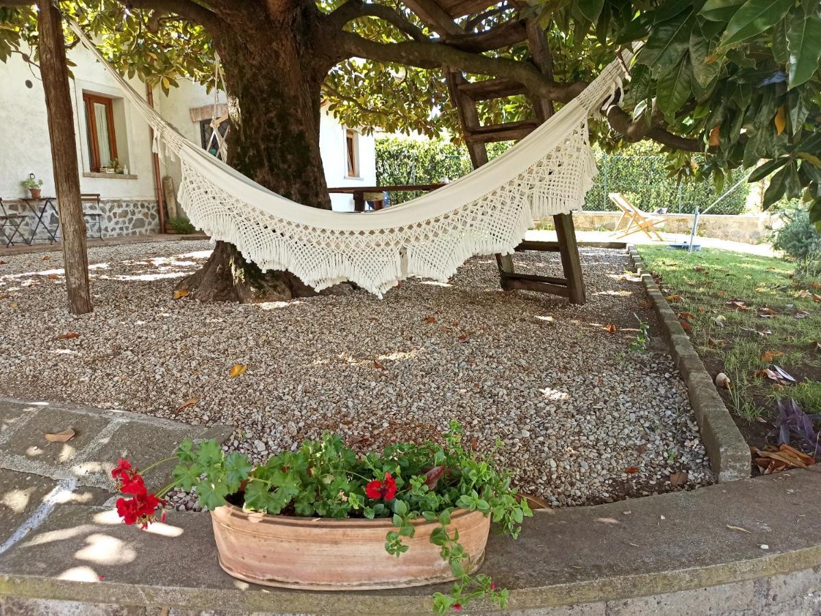 B&B Sole Mio Velletri Exteriér fotografie