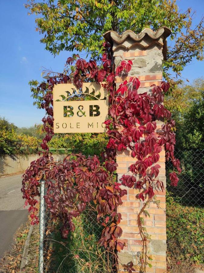 B&B Sole Mio Velletri Exteriér fotografie