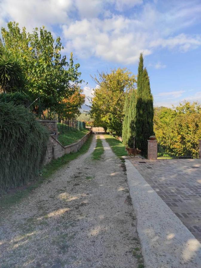 B&B Sole Mio Velletri Exteriér fotografie